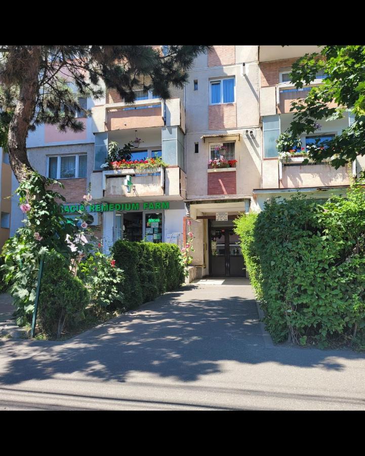 Hermann Apartment Cluj-Napoca